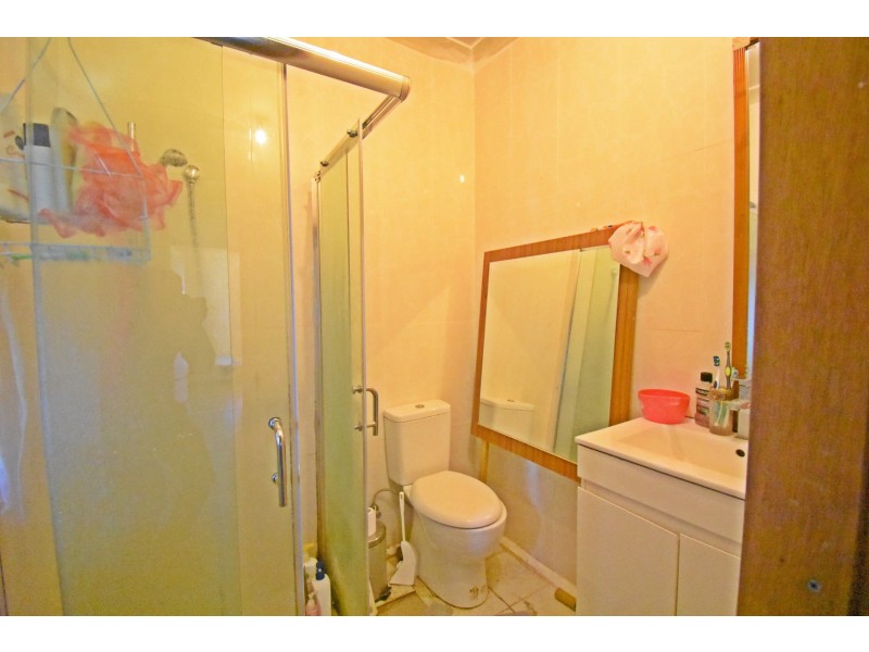 19 Vale Street, Canley Vale NSW 2166