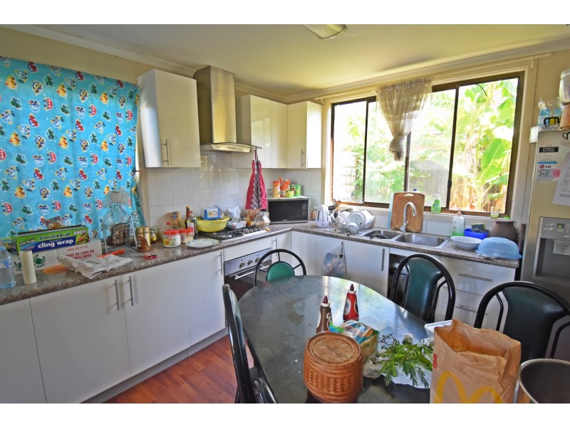 19 Vale Street, Canley Vale NSW 2166