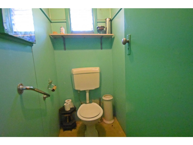 19 Vale Street, Canley Vale NSW 2166