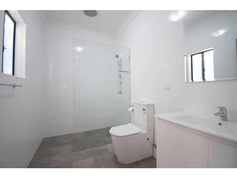 19 Vale Street, Canley Vale NSW 2166