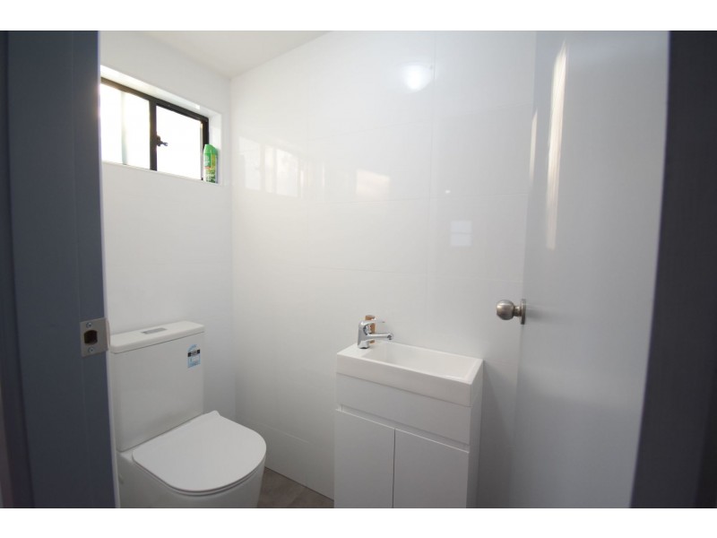 19 Vale Street, Canley Vale NSW 2166