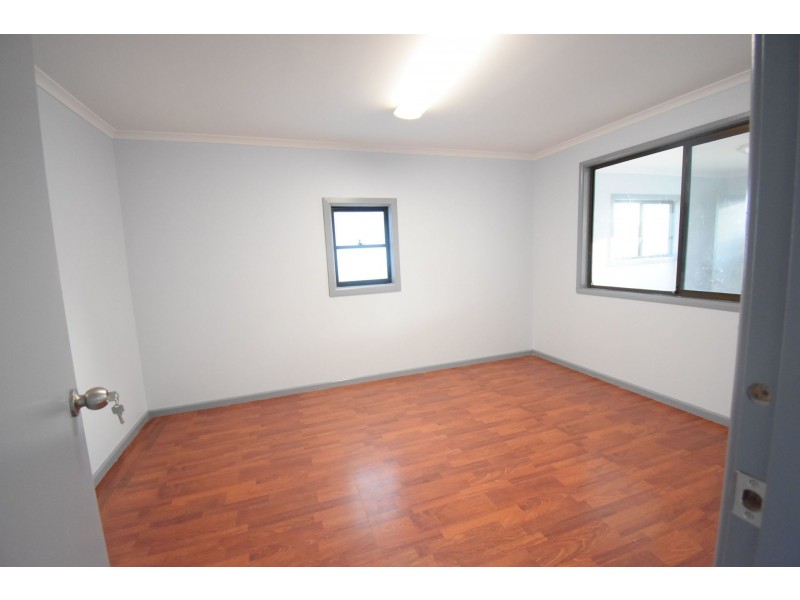 19 Vale Street, Canley Vale NSW 2166