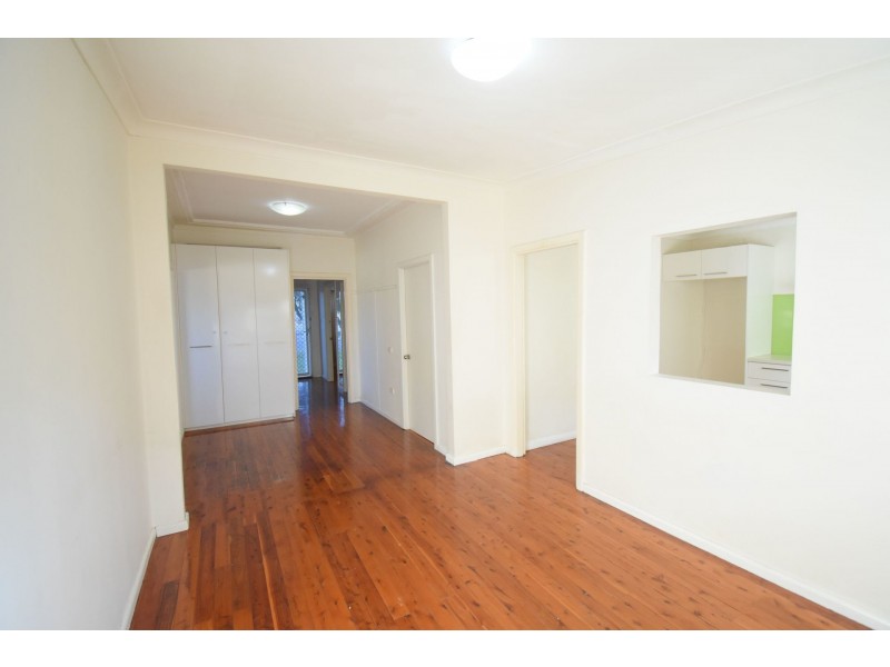 119 Arbutus Street, Canley Heights NSW 2166