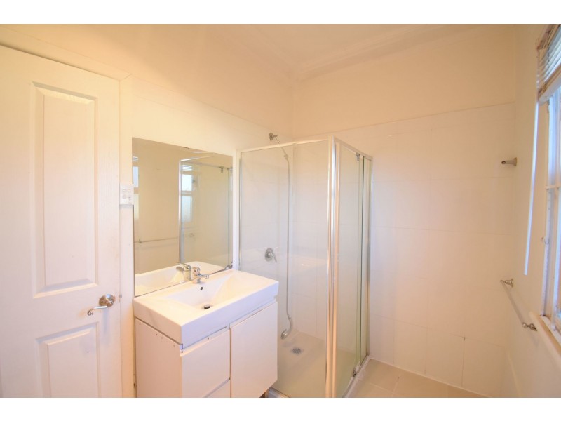 119 Arbutus Street, Canley Heights NSW 2166