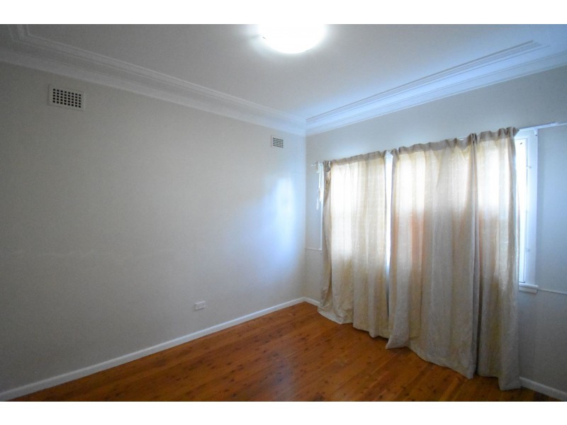 119 Arbutus Street, Canley Heights NSW 2166