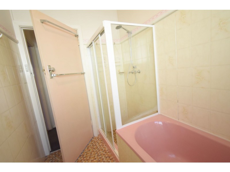 115 Malabar Street, Canley Vale NSW 2166