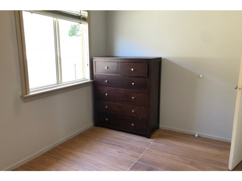 102 Standwell Crescent, Ashcroft NSW 2168