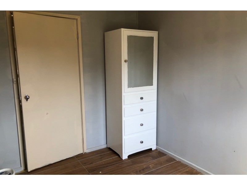 102 Standwell Crescent, Ashcroft NSW 2168