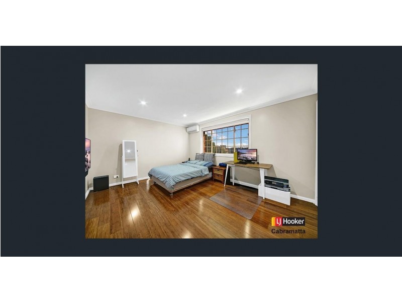 302A Canley Vale Road, Canley Heights NSW 2166