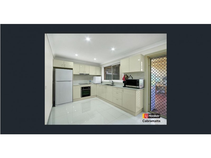 302A Canley Vale Road, Canley Heights NSW 2166
