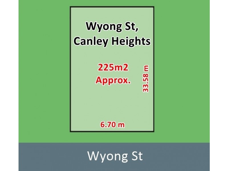45B Wyong Street, Canley Heights NSW 2166