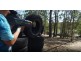1733 The Lakes Way, Rainbow Flat NSW 2430