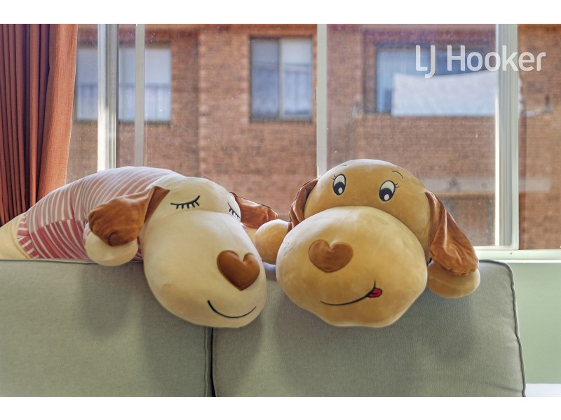 15/156 John Street, Cabramatta NSW 2166