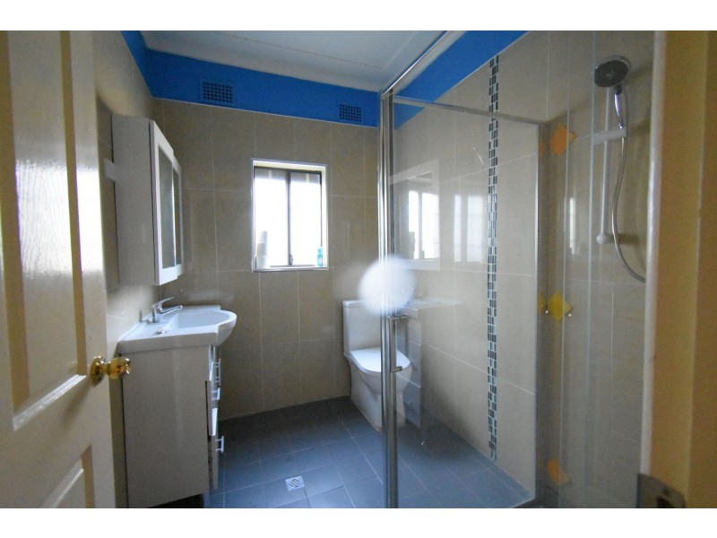 16 Woods Avenue, Cabramatta NSW 2166