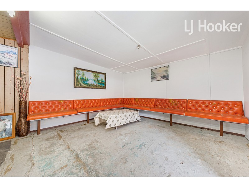 309 Canley Vale Road, Canley Heights NSW 2166