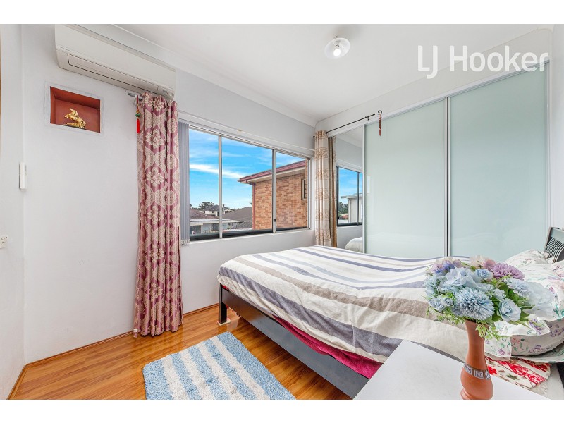 309 Canley Vale Road, Canley Heights NSW 2166