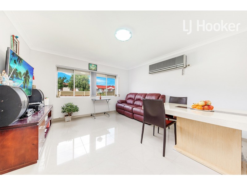 309 Canley Vale Road, Canley Heights NSW 2166