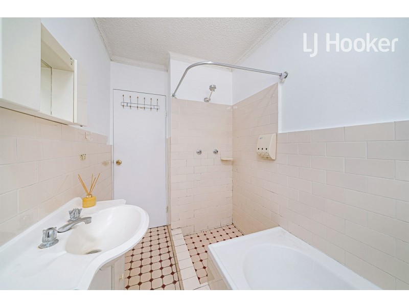 3/117 Longfield Street, Cabramatta NSW 2166