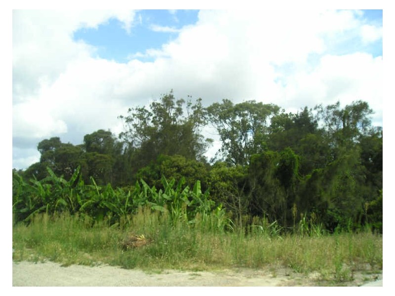 Lot 131 Mitchener Crescent, Long Beach NSW 2536