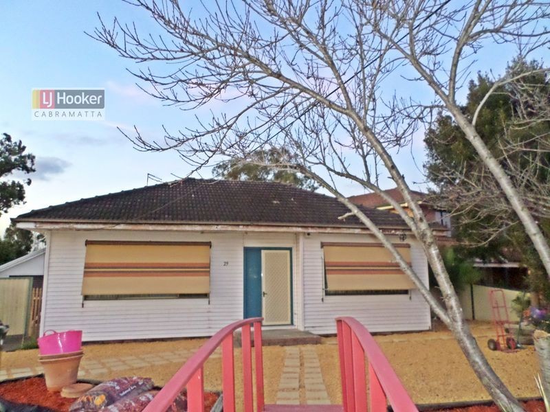 29 PRINCE STREET, Canley Heights NSW 2166