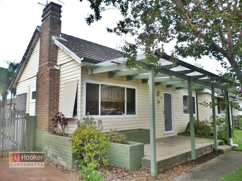 41 Curtin Street, Cabramatta NSW 2166
