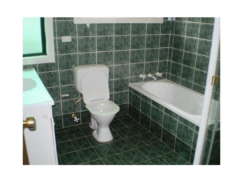 2 Canva Street, Canley Vale NSW 2166