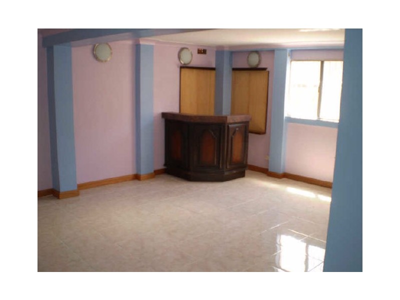 173 St Johns Road, Canley Heights NSW 2166