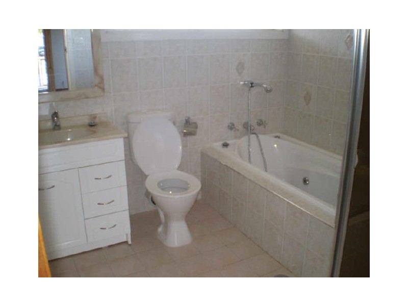 173 St Johns Road, Canley Heights NSW 2166