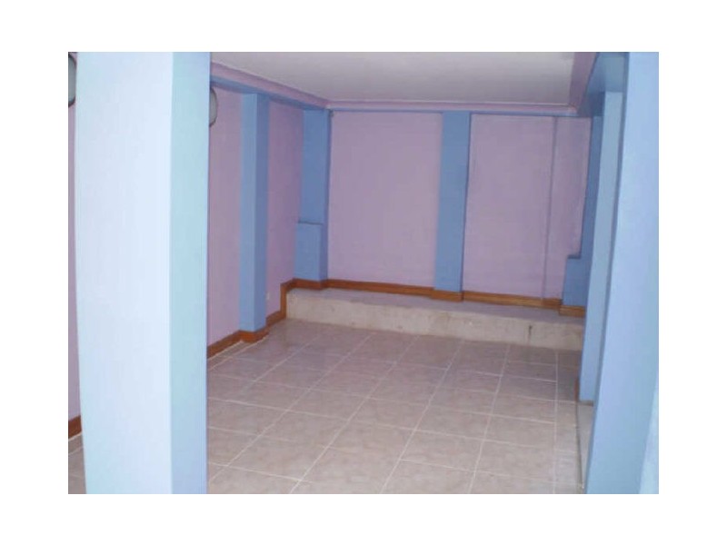 173 St Johns Road, Canley Heights NSW 2166