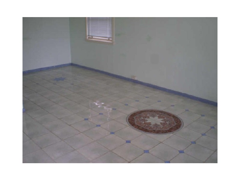 9 Smiths Avenue, Cabramatta NSW 2166