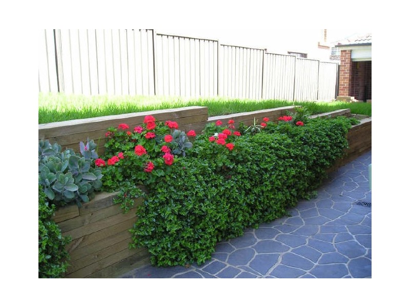 Bonnyrigg Heights NSW 2177