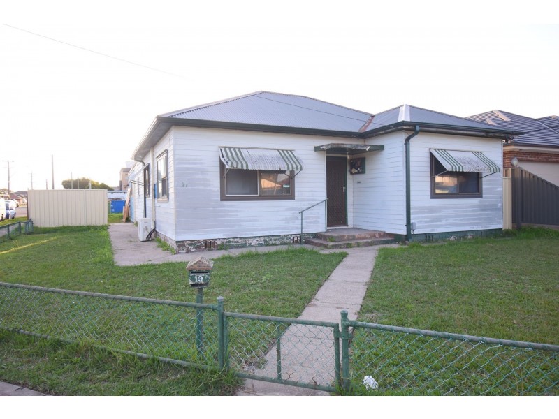 19 Vale Street, Canley Vale NSW 2166
