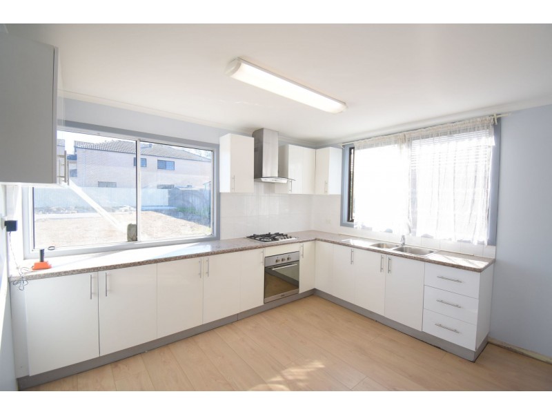 19 Vale Street, Canley Vale NSW 2166