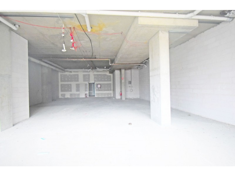 2/99 The Crescent, Fairfield NSW 2165