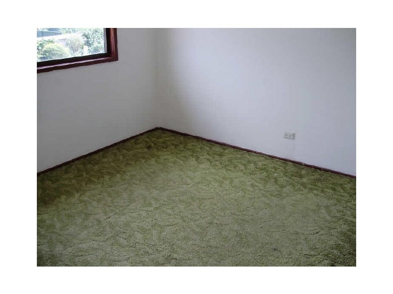 13 Towers Street, Cabramatta NSW 2166