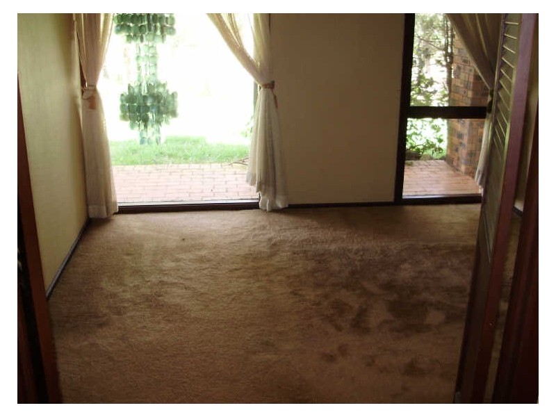 255 Montpelier Drive, The Oaks NSW 2570