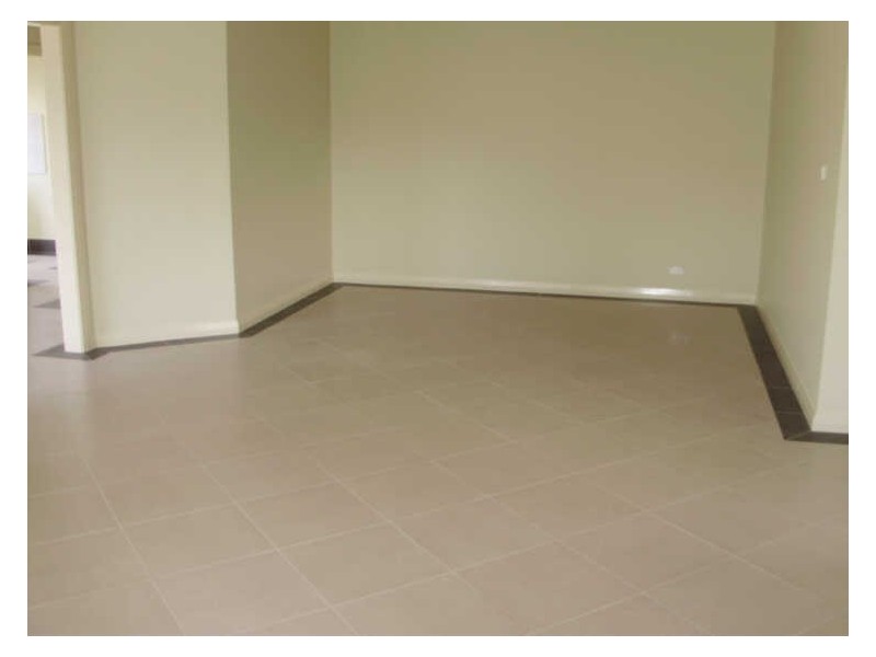 10A Page Place, Cabramatta NSW 2166