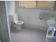 Canley Vale NSW 2166