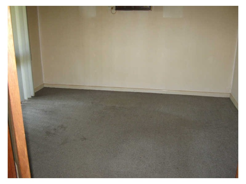 10 Page Place, Cabramatta NSW 2166