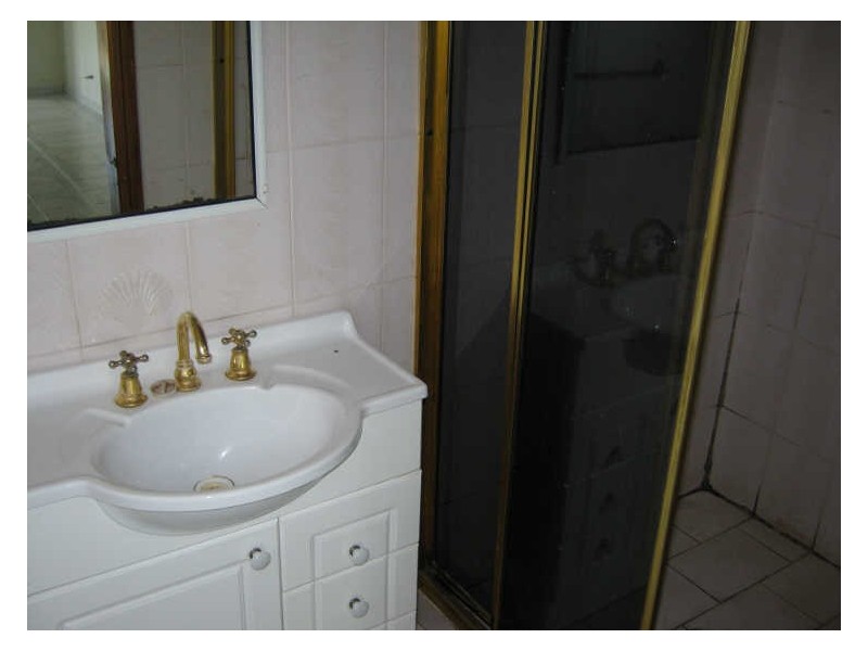 10 Page Place, Cabramatta NSW 2166