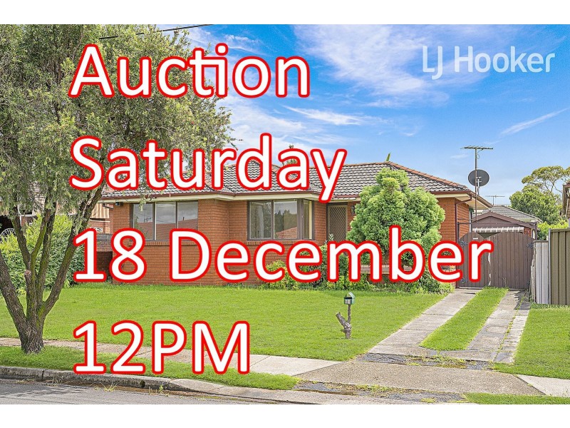 25 Jasmine Crescent, Cabramatta NSW 2166