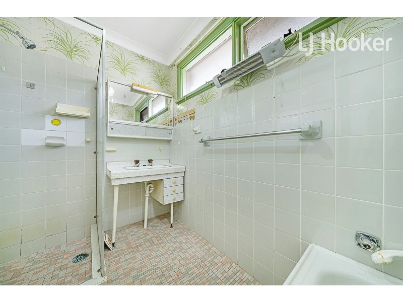 25 Jasmine Crescent, Cabramatta NSW 2166