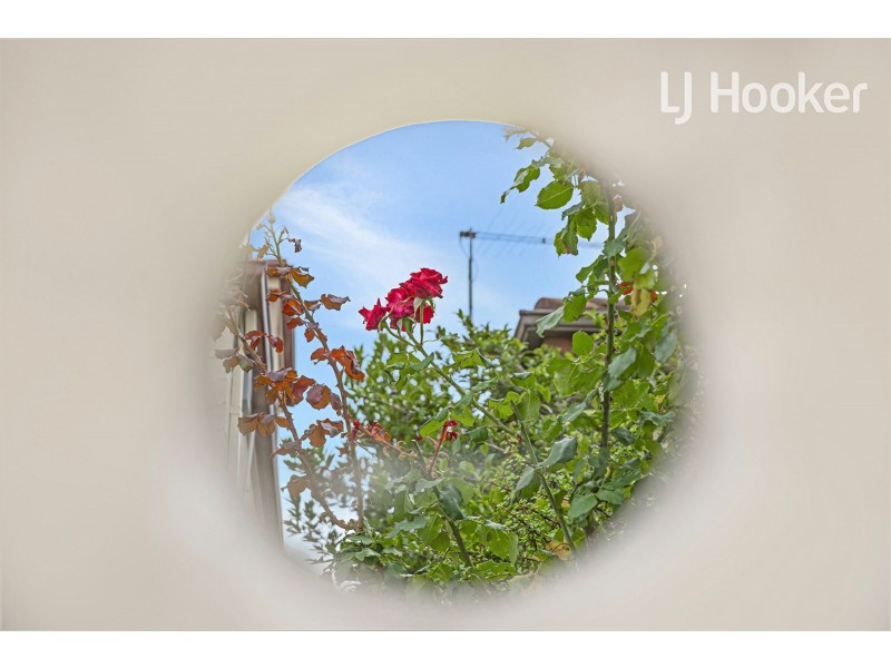 85 Kiora St, Canley Heights NSW 2166