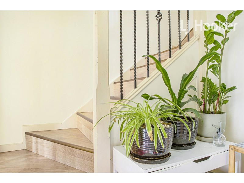 85 Kiora St, Canley Heights NSW 2166