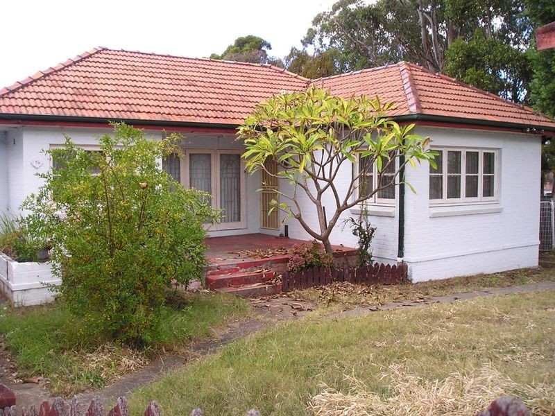 16 Aladore Avenue, Cabramatta NSW 2166