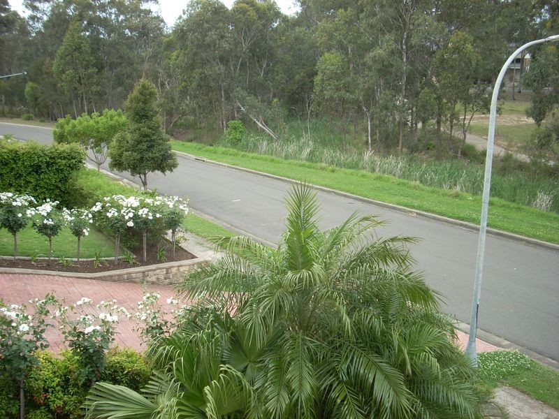 Edensor Park NSW 2176