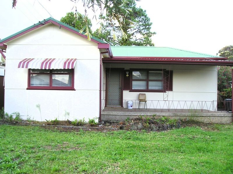 21 Roebuck Street, Cabramatta NSW 2166