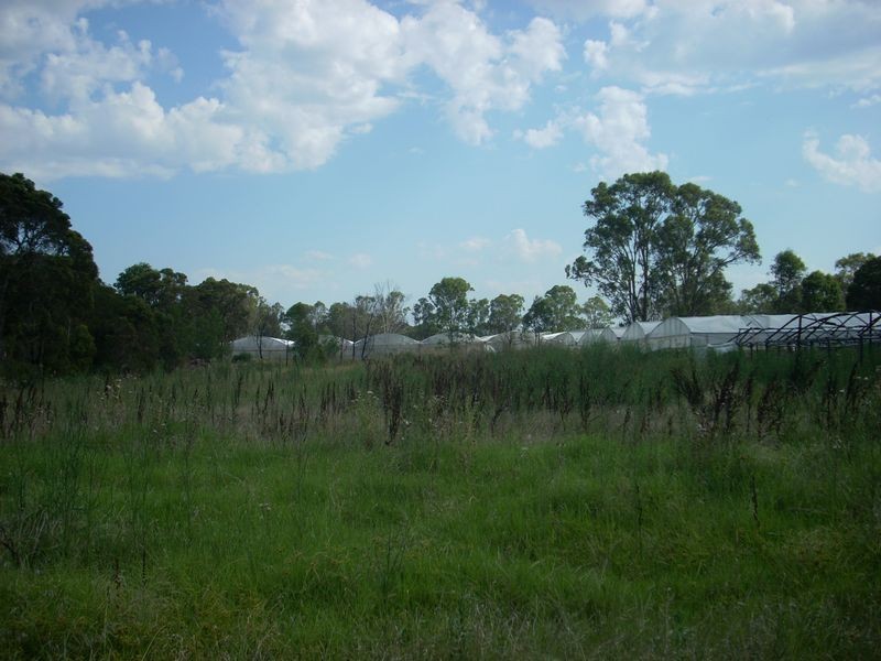 63-69 Victor Avenue, Kemps Creek NSW 2178