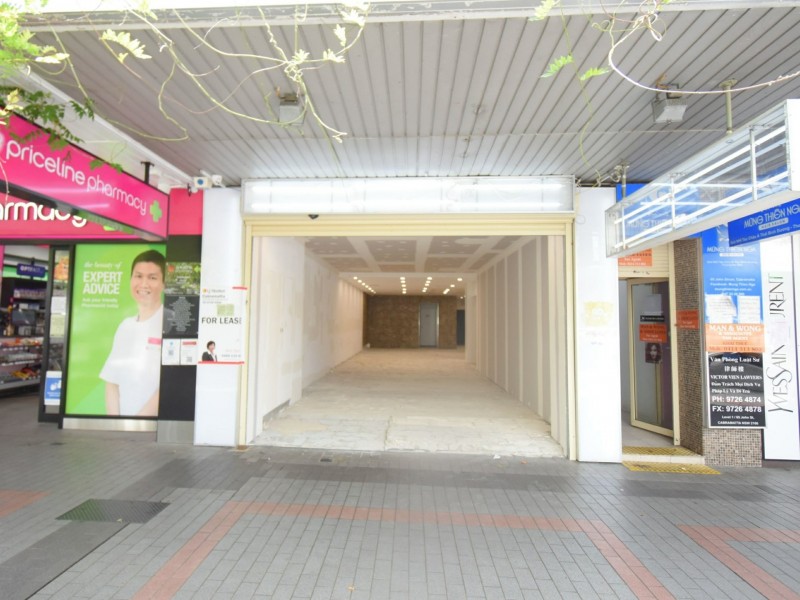 65 John Street, Cabramatta NSW 2166