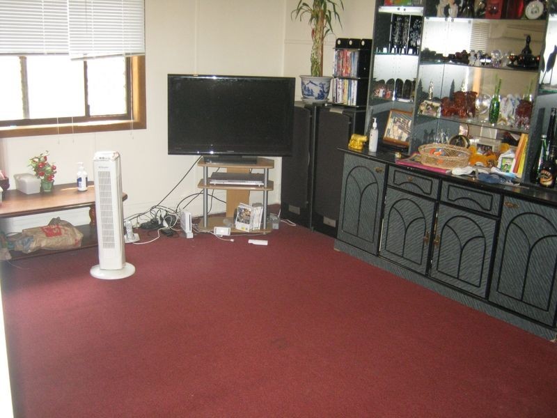 295 Canley Vale Road, Canley Heights NSW 2166